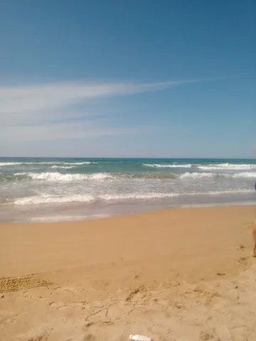 Phenicia Hôtel, Mostaganem — Établissement